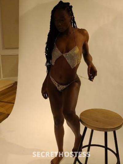 Houdini 29Yrs Old Escort South Jersey NJ Image - 3