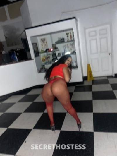 Kim 27Yrs Old Escort Oakland CA Image - 6