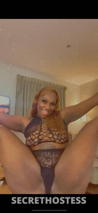 LEXI 23Yrs Old Escort Beaumont TX Image - 4