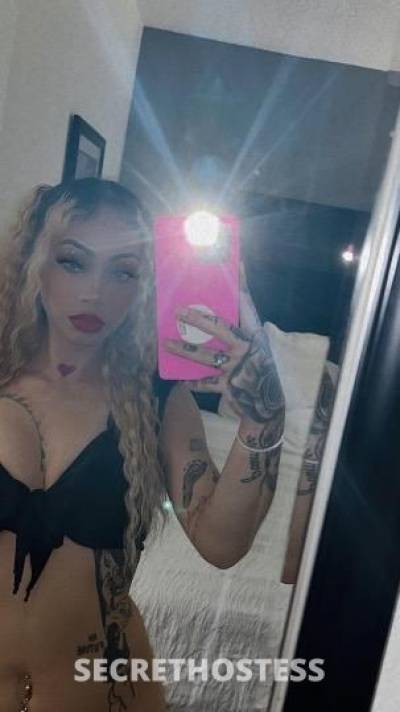 25 year old Latino Escort in San Antonio TX Spicy latina?, elite companion ?, classy freak?, upscale win