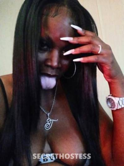 MahoganyBanks 35Yrs Old Escort Shreveport LA Image - 2