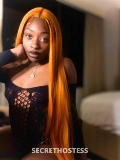 Milliona🥥👸🏽✨ 21Yrs Old Escort Columbia SC Image - 2