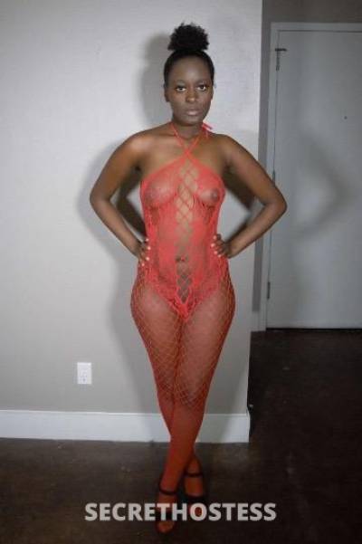 MochaCreme 24Yrs Old Escort Dallas TX Image - 9