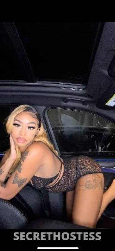 Nyla 21Yrs Old Escort Miami FL Image - 0