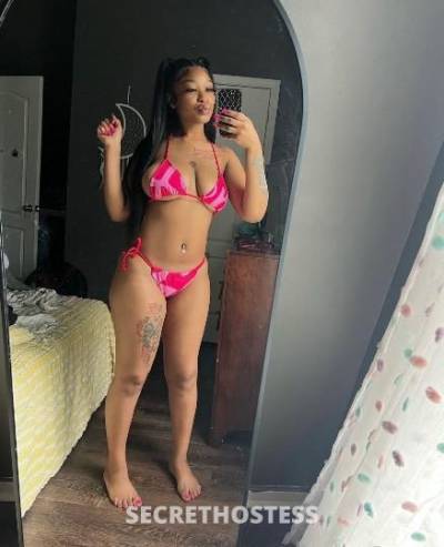 REMY 24Yrs Old Escort Miami FL Image - 3