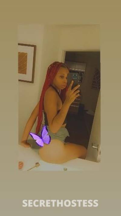 Redd 27Yrs Old Escort Miami FL Image - 1