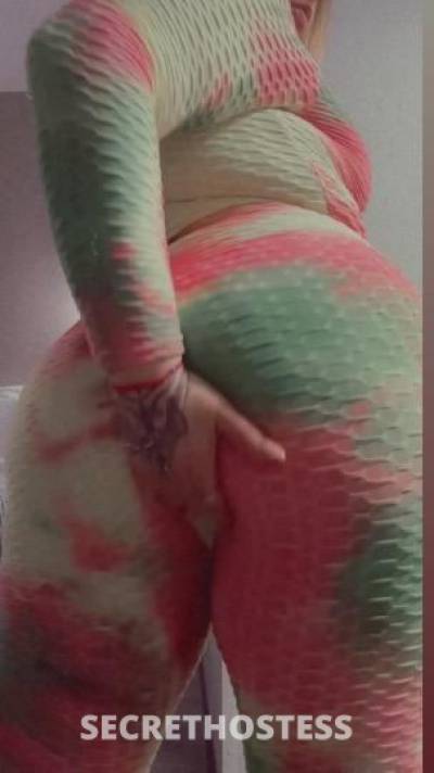 Shy 28Yrs Old Escort Dallas TX Image - 5