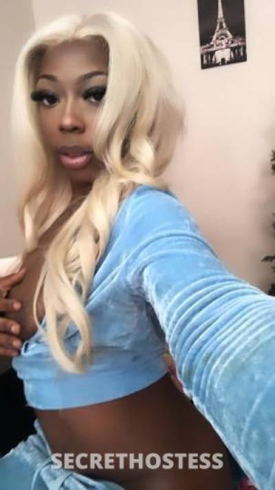 Stormy 23Yrs Old Escort Raleigh-Durham NC Image - 0