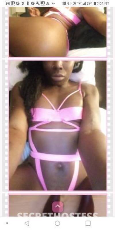 Tink 28Yrs Old Escort Orlando FL Image - 1