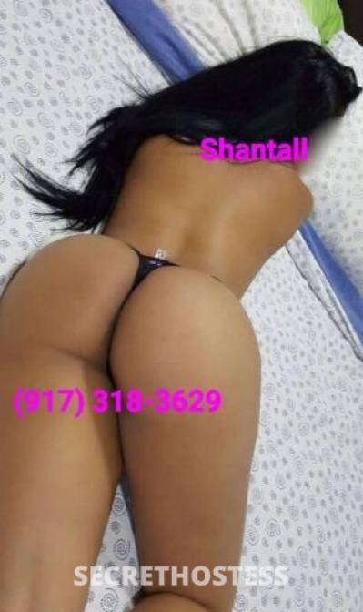 shantall 28Yrs Old Escort San Diego CA Image - 0