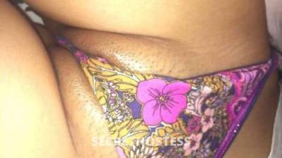 34Yrs Old Escort Dallas TX Image - 2