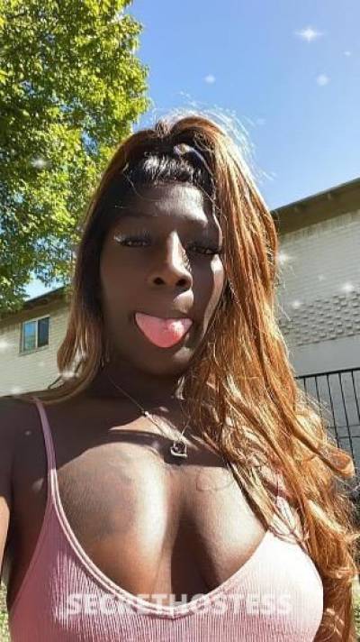 Chanel 25Yrs Old Escort Dallas TX Image - 2