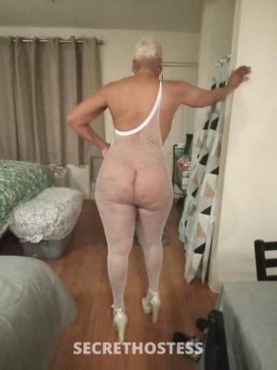 61 Year Old Escort Fort Lauderdale FL - Image 1