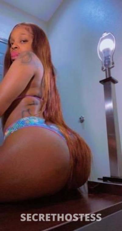 Ariana 21Yrs Old Escort Cleveland OH Image - 2