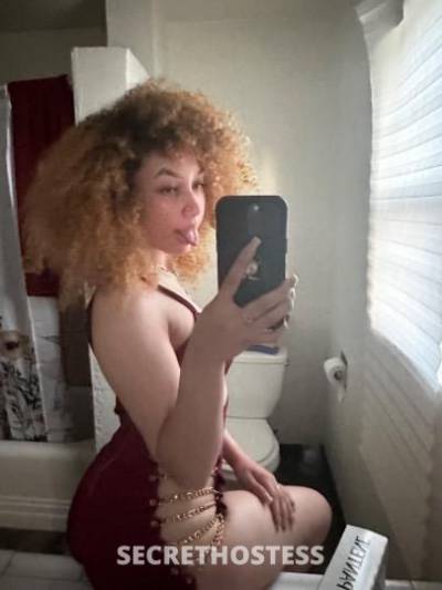 Alize 20Yrs Old Escort Fresno CA Image - 1