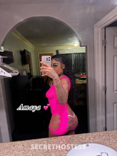 Amaya 25Yrs Old Escort San Fernando Valley CA Image - 2