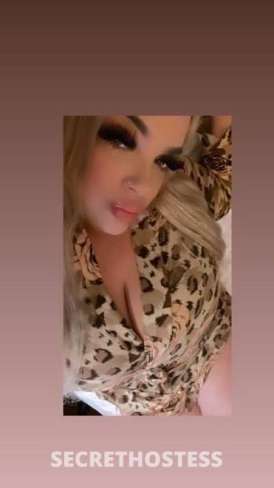 26 year old Escort in Inland Empire CA ??PIERCED KITTY &amp; 36 DDDs Blonde HOTTIE Ready TO Get