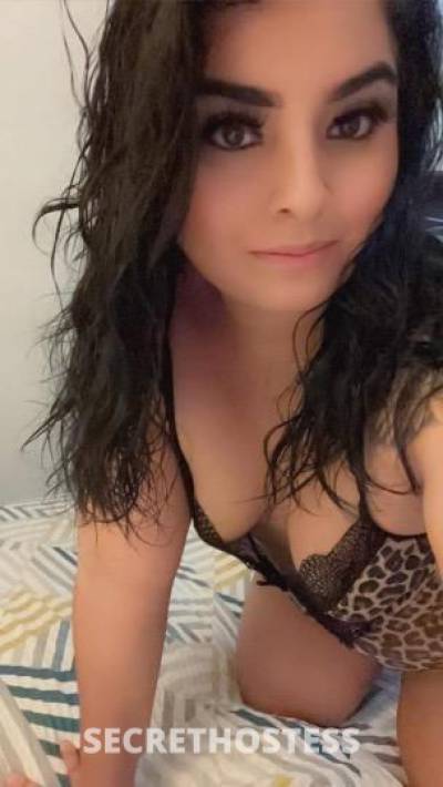 Ashley 22Yrs Old Escort Fresno CA Image - 6