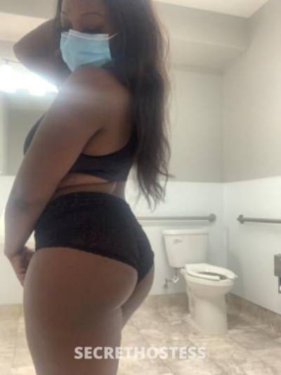 Ashley 28Yrs Old Escort San Francisco CA Image - 0