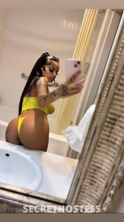 Candi 26Yrs Old Escort Los Angeles CA Image - 1