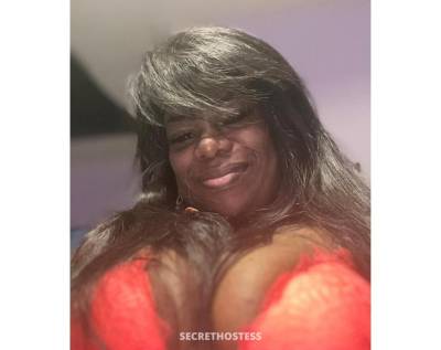 Carla 40Yrs Old Escort Aberdeen Image - 13