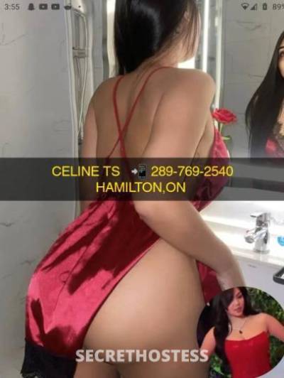 Celine 29Yrs Old Escort Hamilton Image - 0