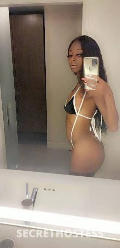 Chocolate 23Yrs Old Escort Denver CO Image - 4