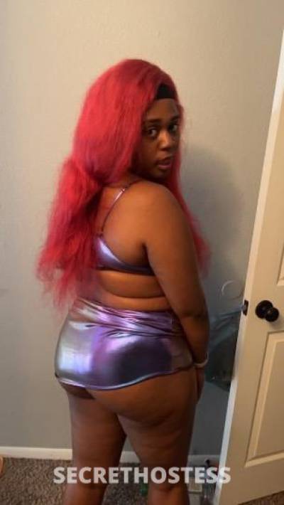 Cinnamon 21Yrs Old Escort Denver CO Image - 2