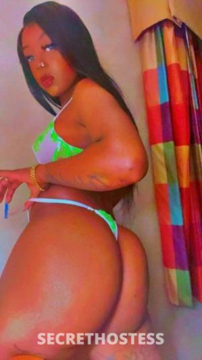 Cynn.Li 28Yrs Old Escort Fort Collins CO Image - 7