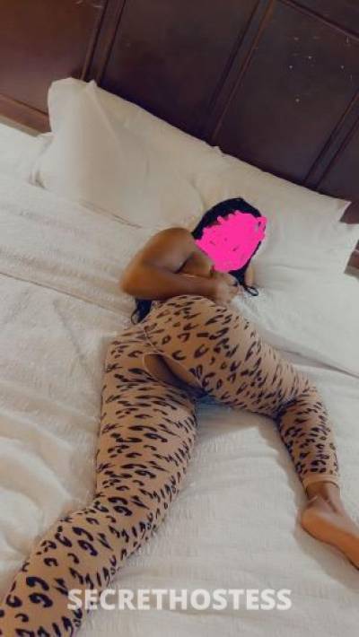 Destiny 24Yrs Old Escort Indianapolis IN Image - 2