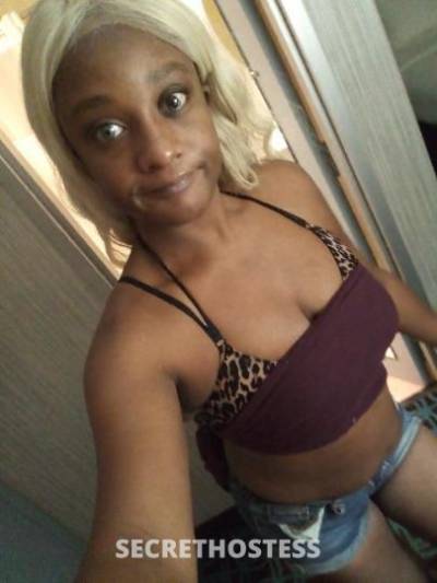 Destiny 28Yrs Old Escort Springfield MA Image - 3