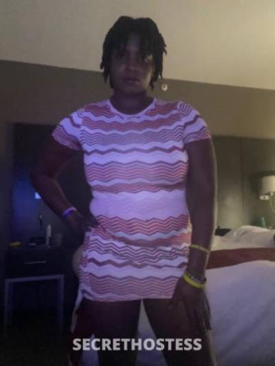 HoneyBun 31Yrs Old Escort Treasure Coast FL Image - 1