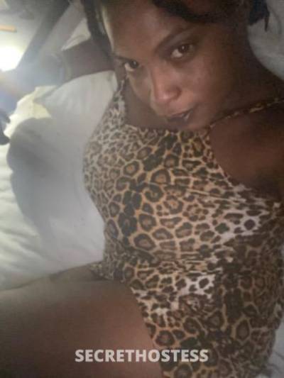 HoneyBun 31Yrs Old Escort Treasure Coast FL Image - 2