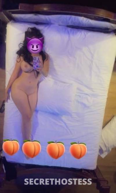 Jade 25Yrs Old Escort Miami FL Image - 1