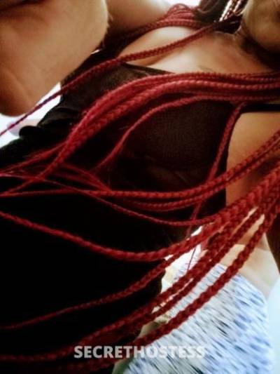 35 year old Latino Escort in West Palm Beach FL never tease BUT PLEASE