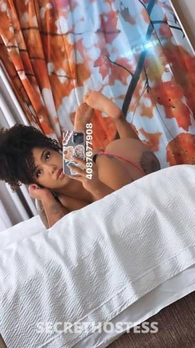 Katalina 26Yrs Old Escort San Jose CA Image - 6