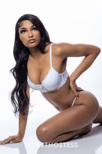 Mulan 19Yrs Old Escort Tucson AZ Image - 2