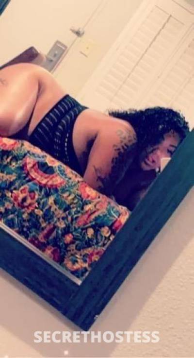 Nikkipleasures 28Yrs Old Escort Oakland CA Image - 5