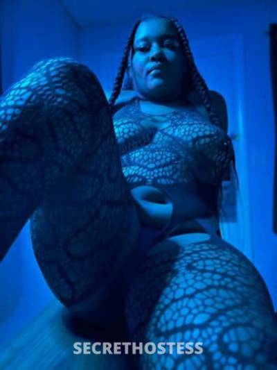 Rose🌹 26Yrs Old Escort Los Angeles CA Image - 2