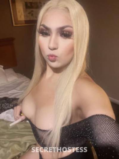 Taylor 23Yrs Old Escort Stockton CA Image - 1