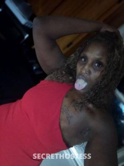 Trina 30Yrs Old Escort Treasure Coast FL Image - 9