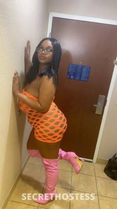 25Yrs Old Escort Houston TX Image - 1