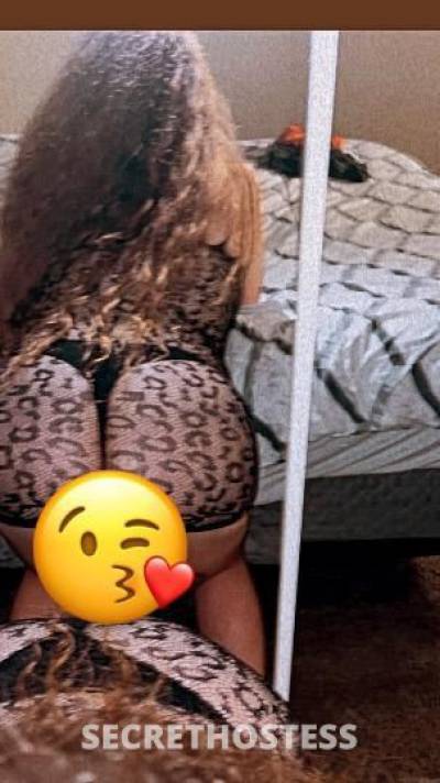 Annie 27Yrs Old Escort Modesto CA Image - 3
