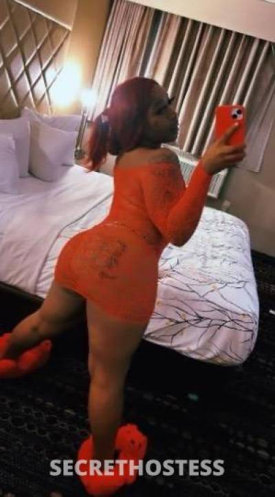 Arii 29Yrs Old Escort Raleigh-Durham NC Image - 3