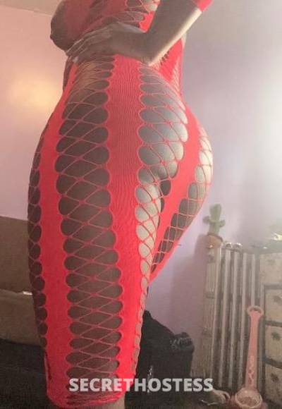 Chocolate 25Yrs Old Escort Bronx NY Image - 3