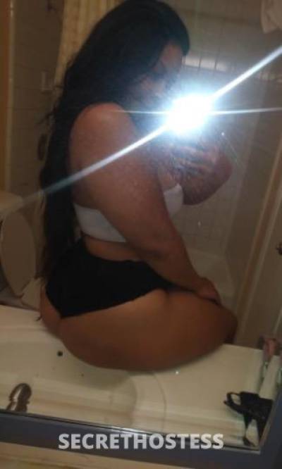 Crystal 27Yrs Old Escort Los Angeles CA Image - 1