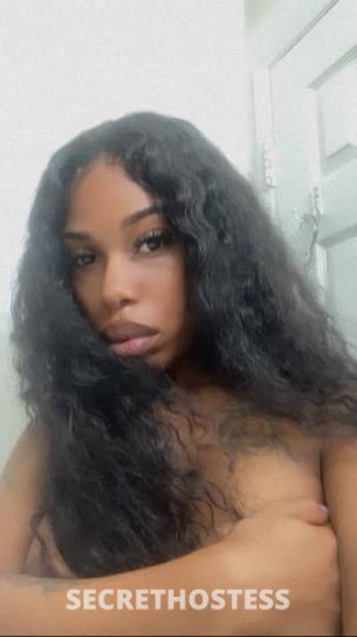 Cynn🧸💎 22Yrs Old Escort San Fernando Valley CA Image - 2