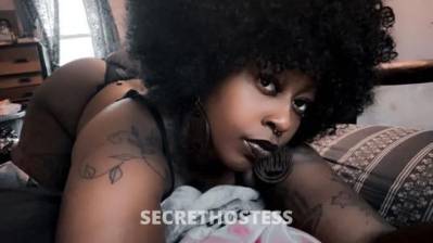 Daisyknight 24Yrs Old Escort Cleveland OH Image - 1