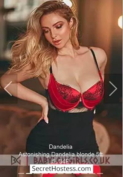 Dandelia 27Yrs Old Escort 165CM Tall London Image - 2