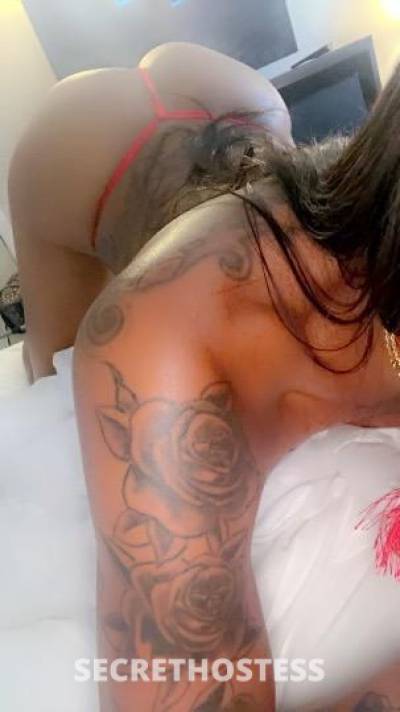 Dreamm 30Yrs Old Escort Raleigh-Durham NC Image - 1